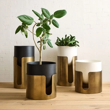 POTS & PLANTS